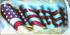 Airbrush American Flag