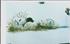 Bird Dog Trailer Mural