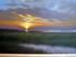 Long Island Sunset in Oil
