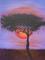 Serengeti Sunset in Acrylic